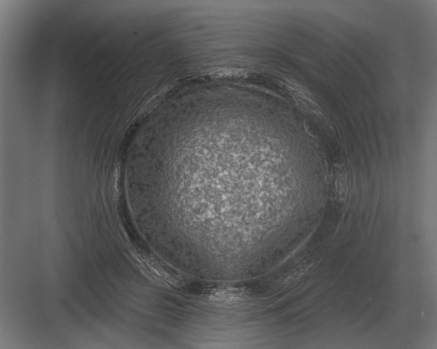 X0000082930550200702152150