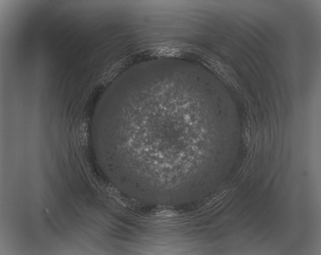 X0000082930551200702152150