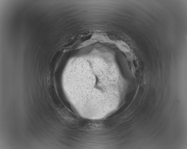 X0000082930552200702152150