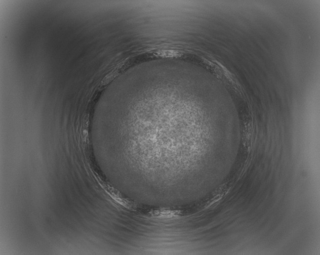 X0000082930553200702152150