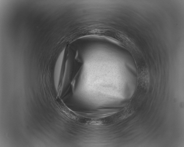 X0000082930554200702152150