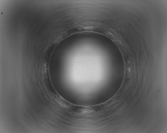 X0000082930555200702152150