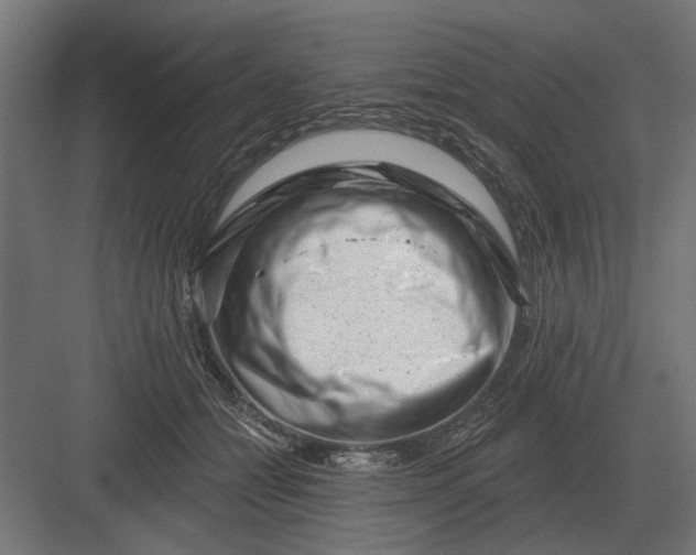 X0000082930558200702152150