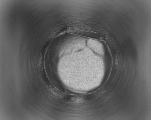 X0000082930559200702152150