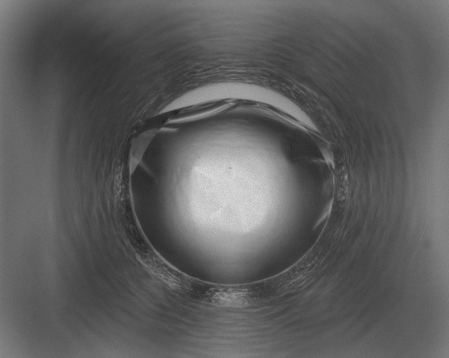 X0000082930560200702152150