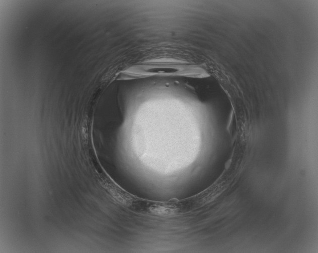 X0000082930561200702152150