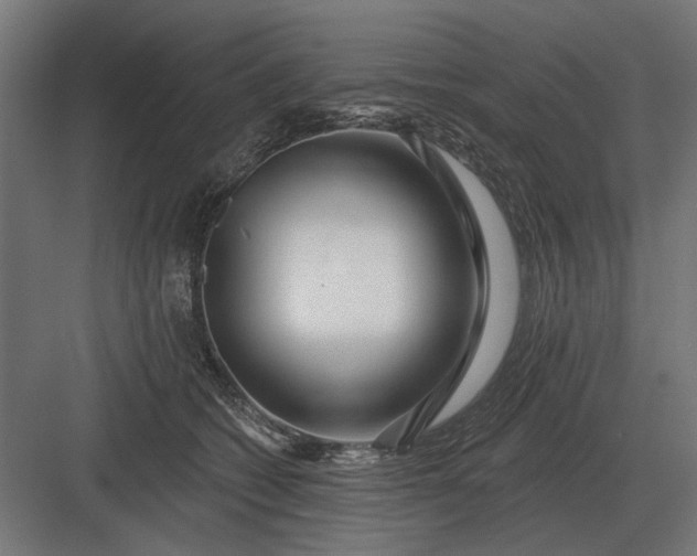 X0000082930562200702152150