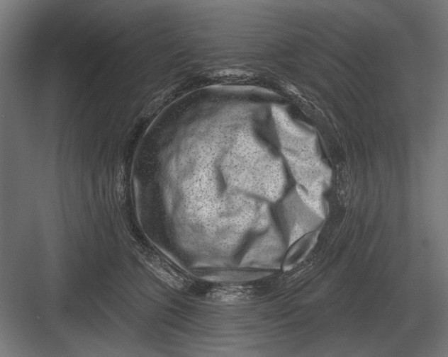 X0000082930563200702152150