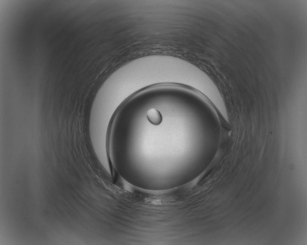 X0000082930564200702152150