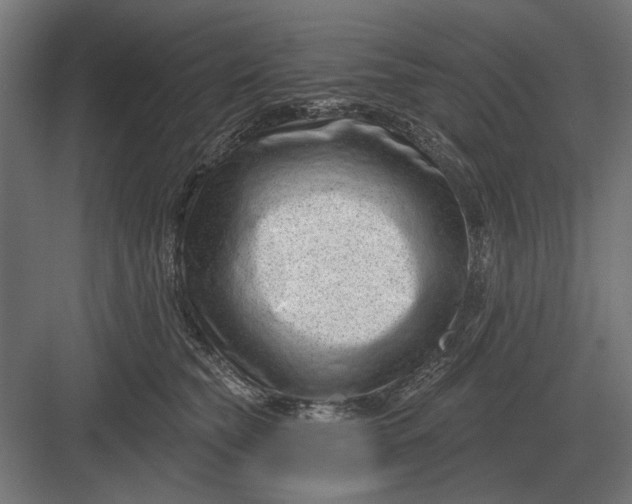 X0000082930565200702152150