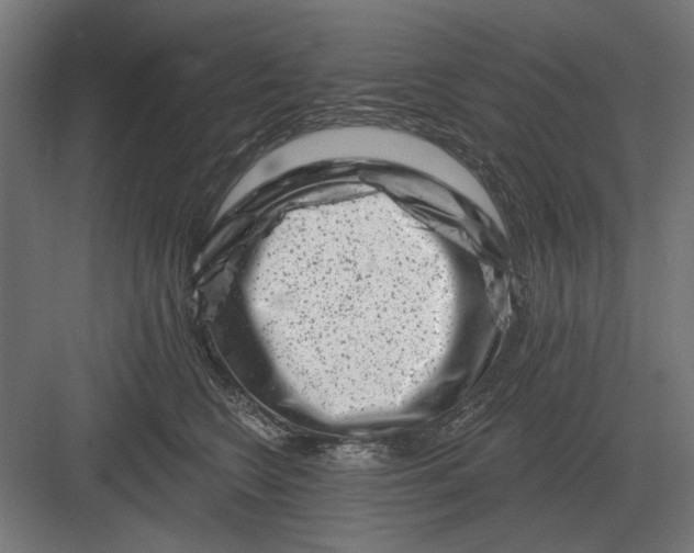 X0000082930566200702152150