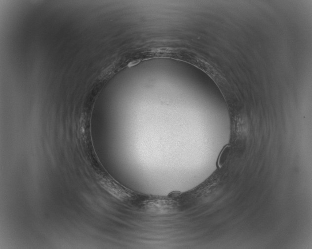 X0000082930567200702152150