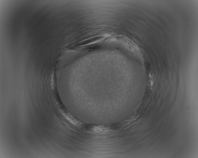 X0000082930568200702152150