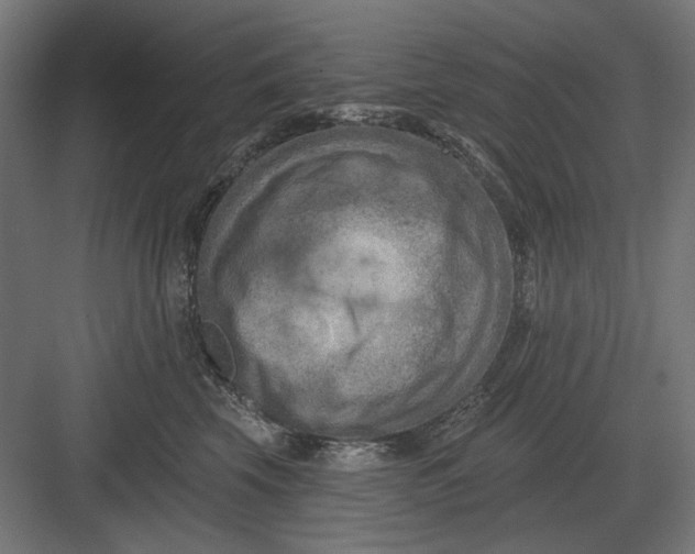 X0000082930569200702152150