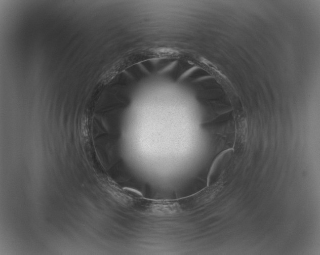 X0000082930571200702152150