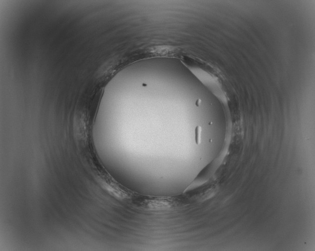 X0000082930572200702152150