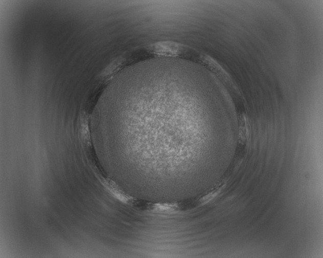 X0000082930573200702152150