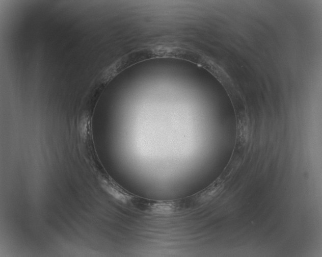 X0000082930574200702152150