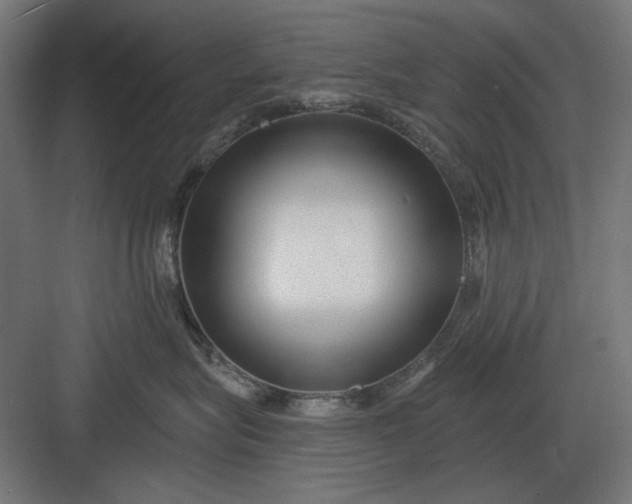 X0000082930575200702152150