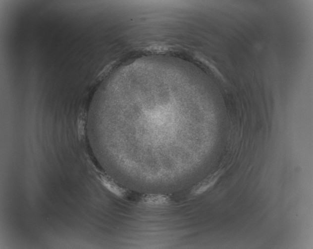 X0000082930576200702152150