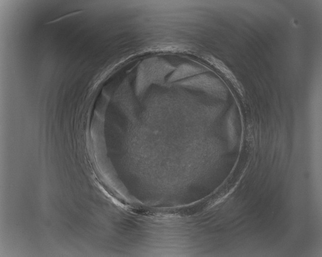 X0000082930577200702152150