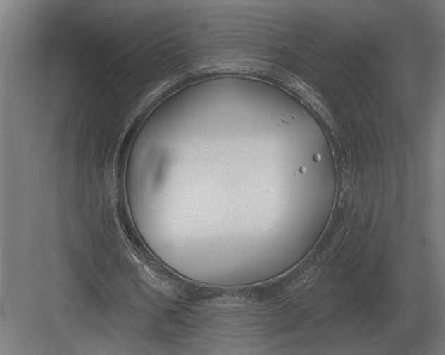 X0000082930578200702152150