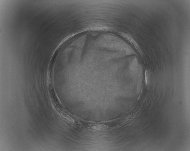 X0000082930579200702152150