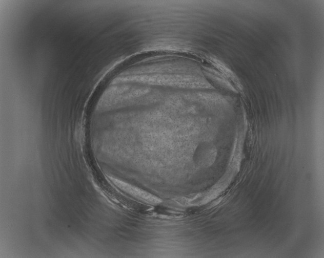 X0000082930580200702152150