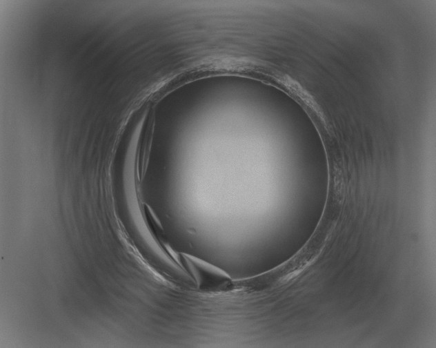 X0000082930581200702152150