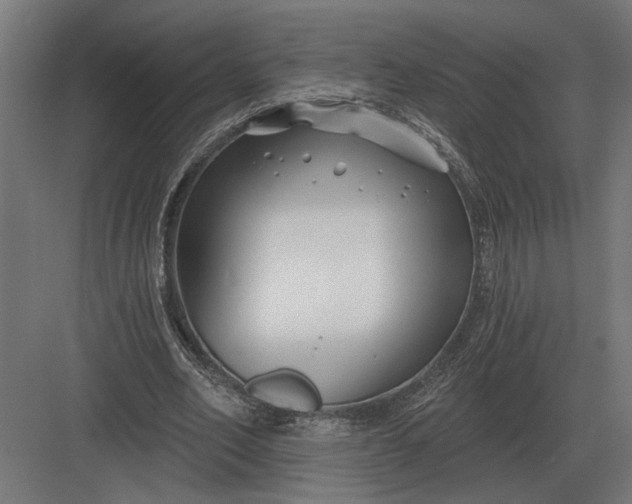 X0000082930582200702152150