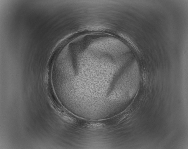 X0000082930583200702152150