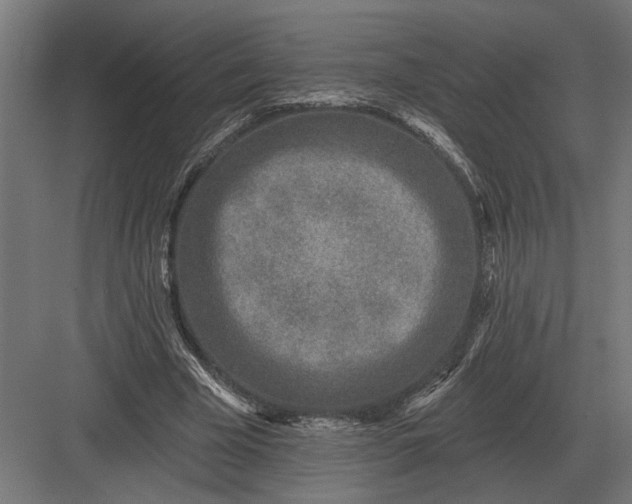 X0000082930585200702152149