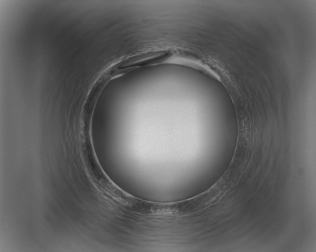 X0000082930587200702152149