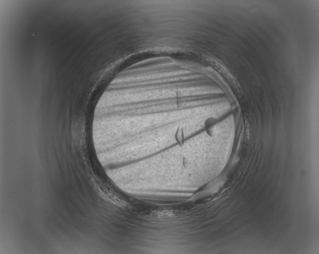 X0000082930588200702152149