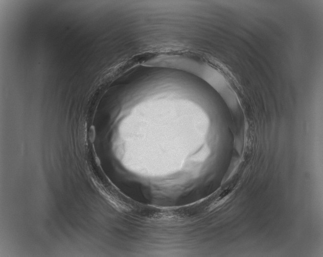 X0000082930589200702152149