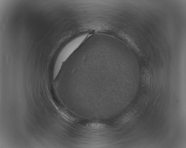 X0000082930590200702152149