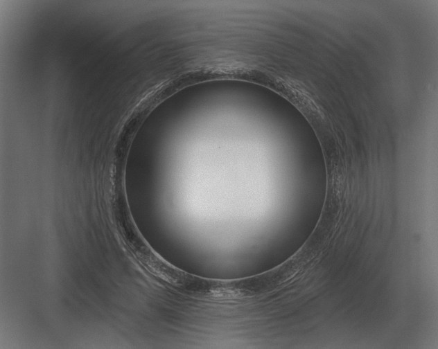 X0000082930591200702152149