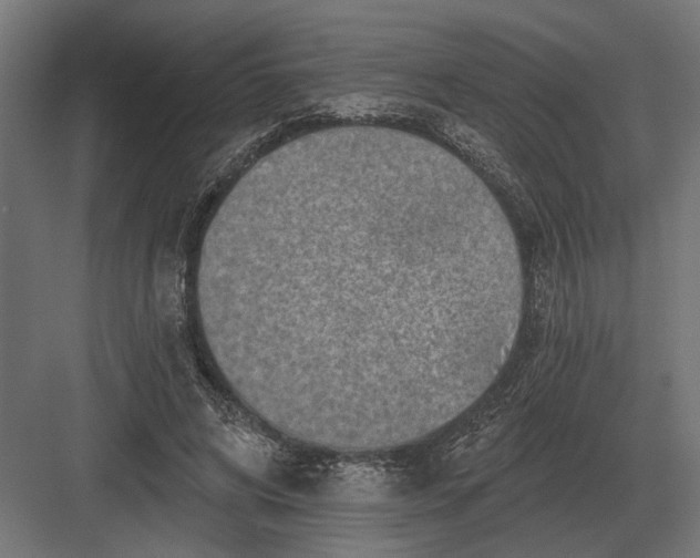 X0000082930592200702152149