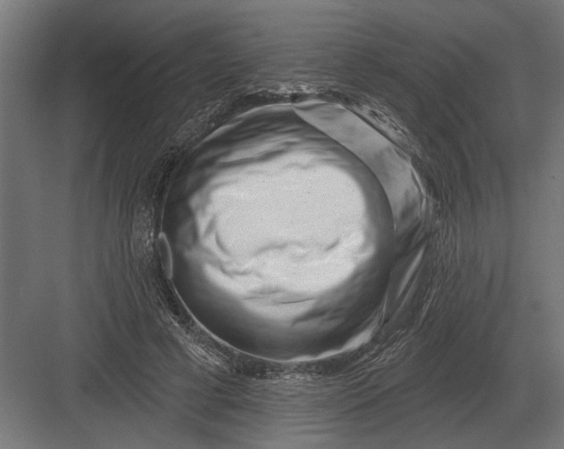 X0000082930593200702152149