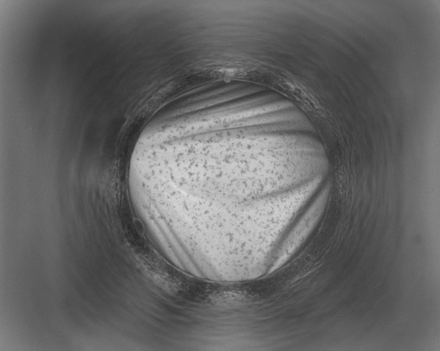 X0000082930594200702152149