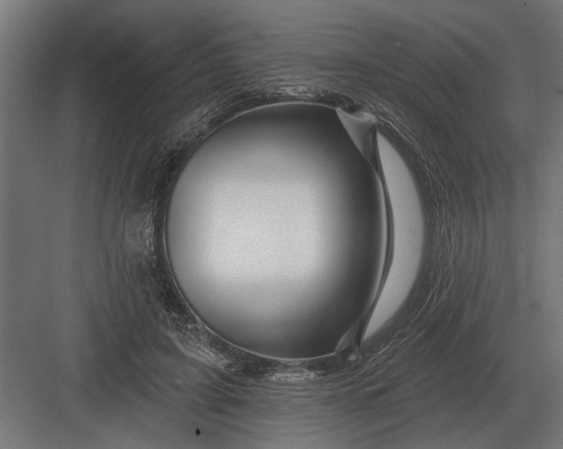 X0000082930595200702152149