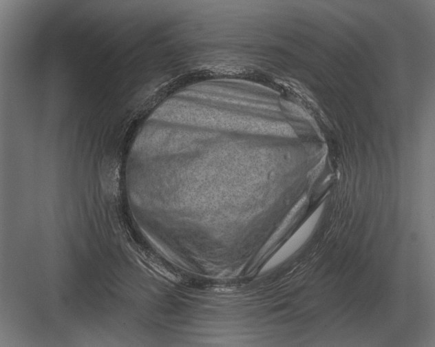 X0000082930596200702152149