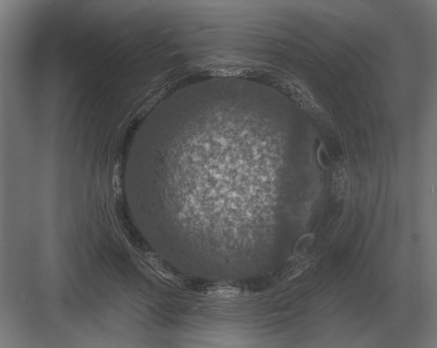 X0000082930598200702152149