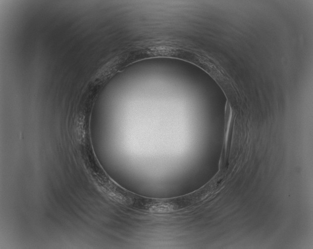 X0000082930599200702152149