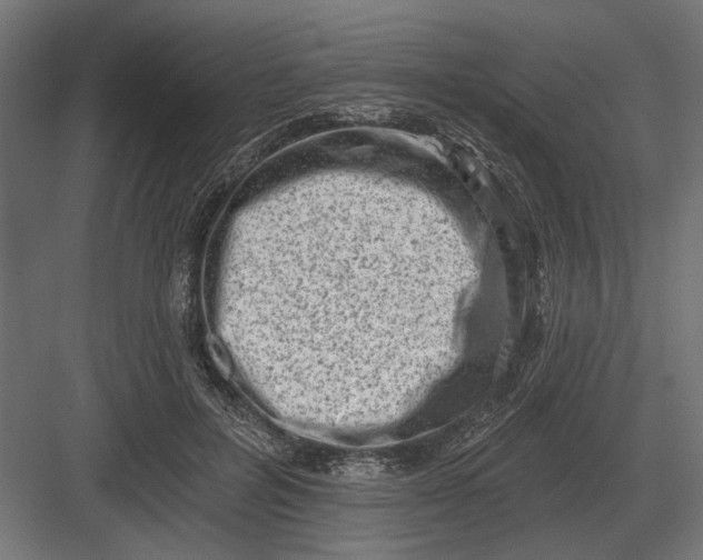 X0000082930600200702152149