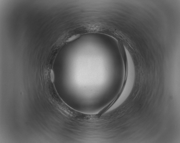 X0000082930601200702152149