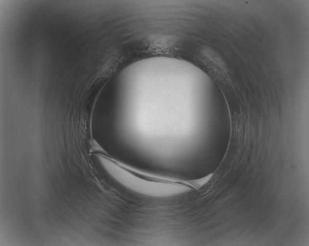 X0000082930603200702152149