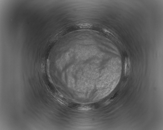 X0000082930604200702152149