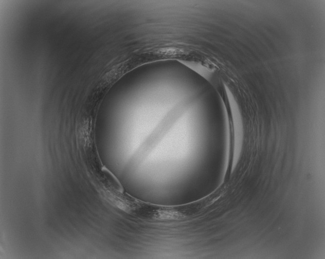 X0000082930605200702152149