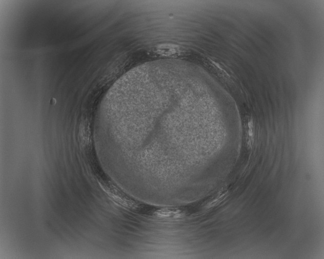 X0000082930606200702152149